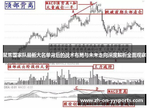 聚焦国家队最新大名单背后的战术布局与未来走向深度解析全面观察 聚焦国家队最新大名单背后的战术布局与未来走向深度解析全面观察